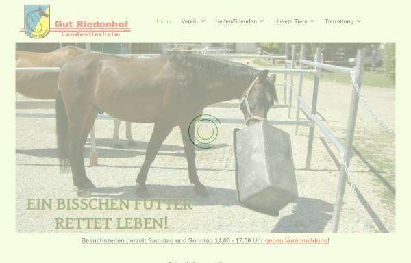 Vorschau von www.gnadenhof.info, Pferdeschutz Gut Riedenhof