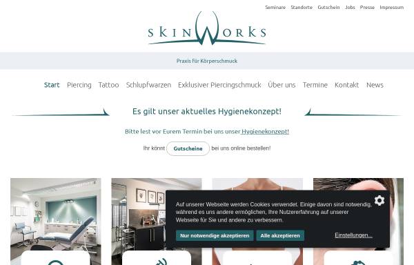 Vorschau von www.skinworks.de, Skinworks