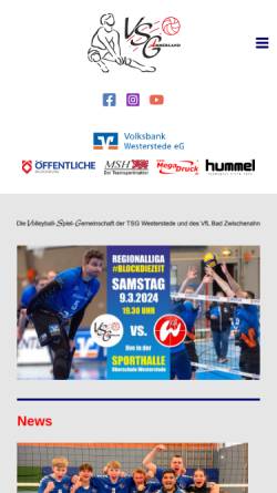 Vorschau der mobilen Webseite www.vsg-ammerland.de, VSG Ammerland - Volleyball