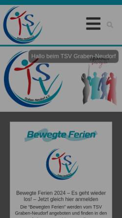 Vorschau der mobilen Webseite tsv-neudorf.de, TSV Neudorf