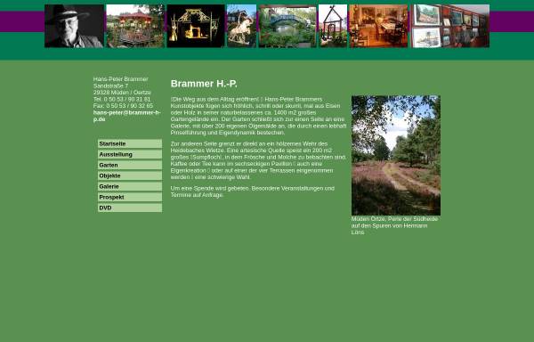 Vorschau von www.brammer-h-p.de, Brammer, Hans-Peter