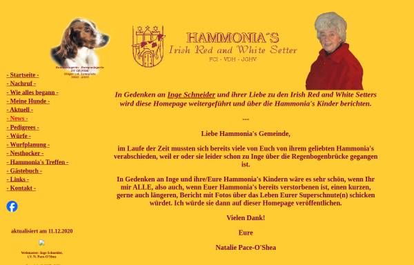 Vorschau von www.hammonias.de, Hammonias Irish Red and White Setter