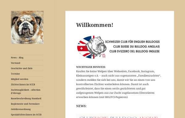 Schweizer Club für English Bulldogs