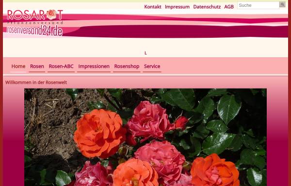 Vorschau von www.rosenversand24.de, Rosarot-Pflanzenversand