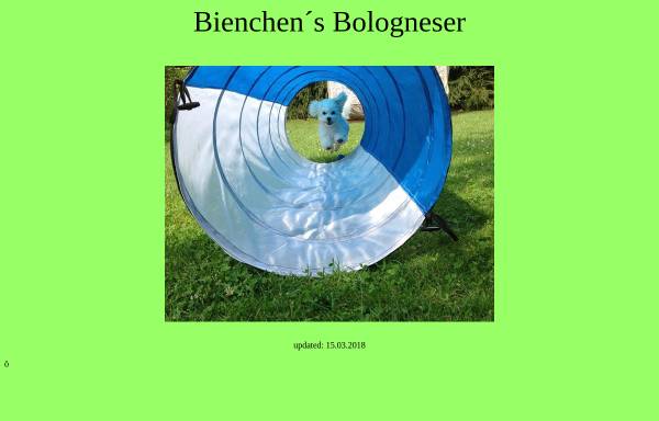Vorschau von www.bologneser-online.de, Bienchens