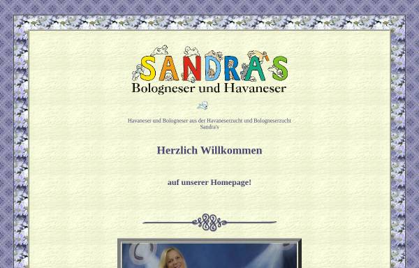 Vorschau von www.sandrablock.de, Sandra's Bologneser