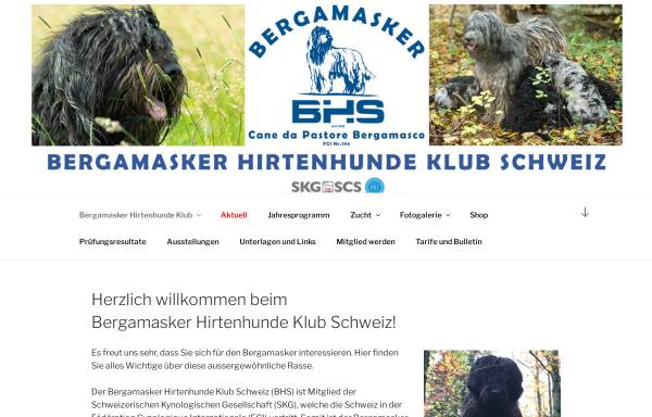 Vorschau von www.bergamaskerklub.ch, Bergamasker-Hirtenhunde Klub Schweiz