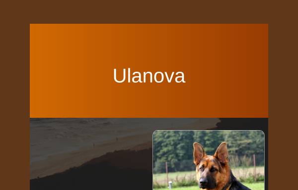 Vorschau von www.ulanova.ch, Ulanova