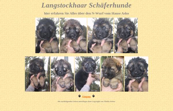 Vorschau von www.vom-haus-asko.de, Langstockhaar Schäferhunde vom Hause Asko