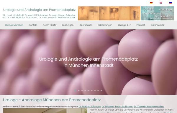 Vorschau von www.urologe-androloge.de, Dr. Ulrich Pickl und Dr. Ulf Salzmann