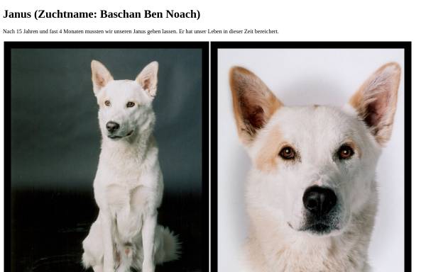 Vorschau von www.baschan-ben-noach.de, Baschan Ben Noach