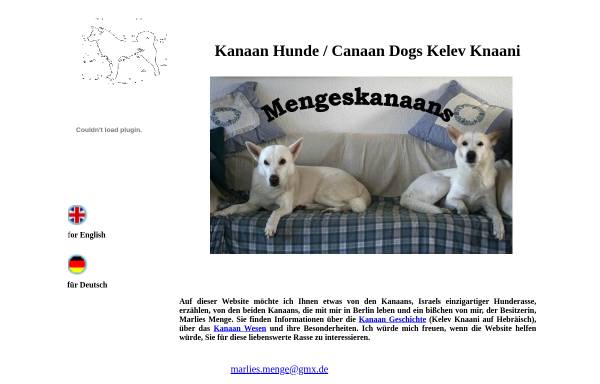 Vorschau von www.mengeskanaans.de, Über Kanaan Hunde