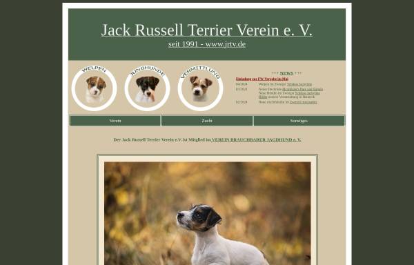 Vorschau von www.jrtv.de, Jack Russell Terrier Verein e.V.