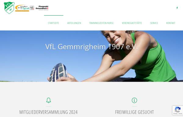 Vorschau von www.vfl-gemmrigheim.de, VfL Gemmrigheim