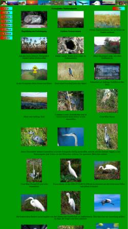 Vorschau der mobilen Webseite www.kmon.de, Everglades Nationalpark [Karl Mock]