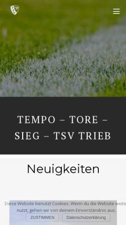 Vorschau der mobilen Webseite www.tsv-trieb.de, TSV Trieb