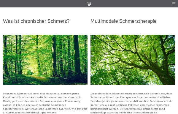Vorschau von www.schmerzakademie.de, Deutsche Schmerzakademie e.V.