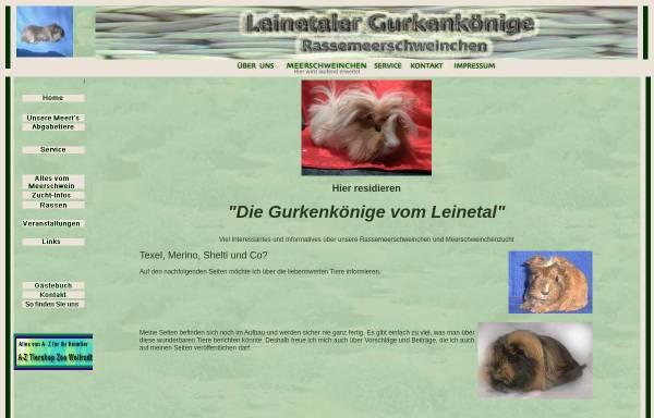 Vorschau von www.rasse-meerschweinchen.de, Die Gurkenkönige vom Leinetal