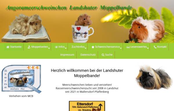 Vorschau von www.meerschweinchen-landshut.de, Landshuter Moppelbande