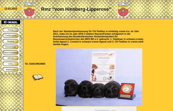 Vorschau von www.rassemeerschweinchen-re.de, Meerchen vom Hinsberg