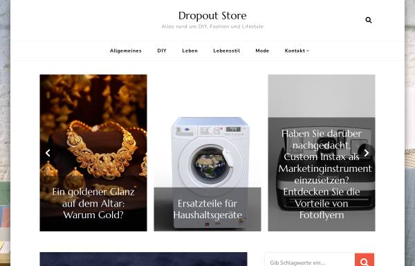 Vorschau von www.dropout-store.de, Dropout-Store, Marc Hammermeister