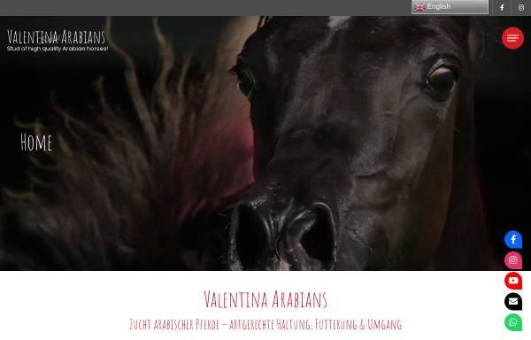 Vorschau von www.valentina-arabians.de, Kerstin Schaab
