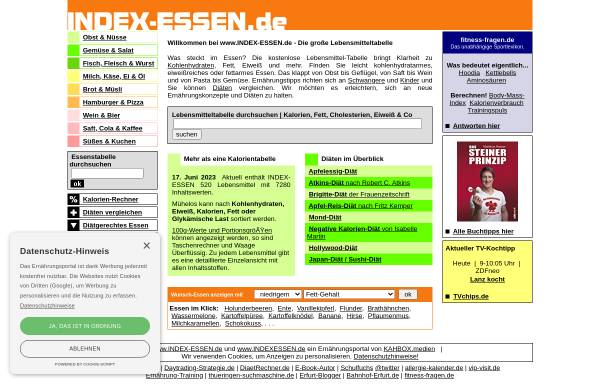 Vorschau von www.index-essen.de, Index-Essen