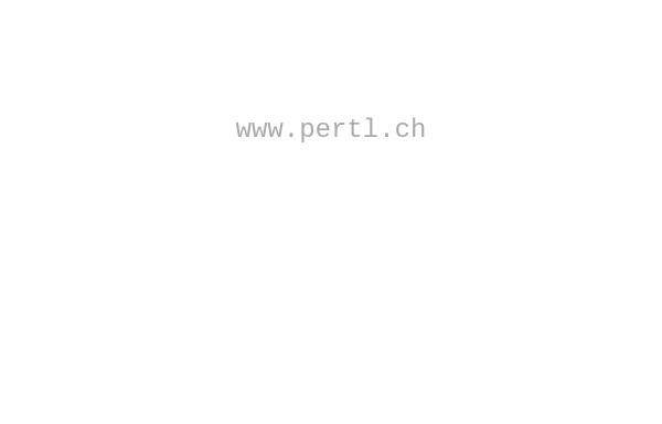 Vorschau von www.pertl.ch, EDV-Pertl