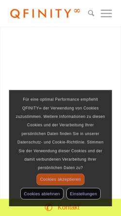 Vorschau der mobilen Webseite www.q-finity.de, Q-Finity IT-Qualitätsmanagement, Inh. Dipl.-Inf. Oliver Herrmann