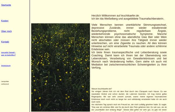 Vorschau von www.leuchtkaefer.de, Die Leuchtkaefer - ein Multiples System auf dem Weg ins Leben