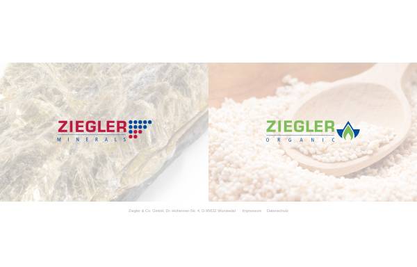 Vorschau von zieglerco.de, Ziegler & Co. GmbH