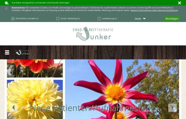 Vorschau von www.ergo-junker.de, Ergotherapie Junker