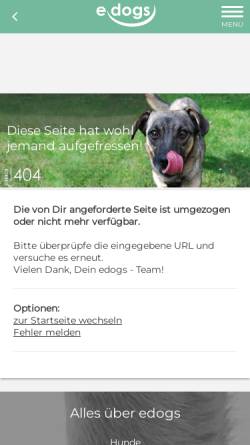 Therapiehund Nelly