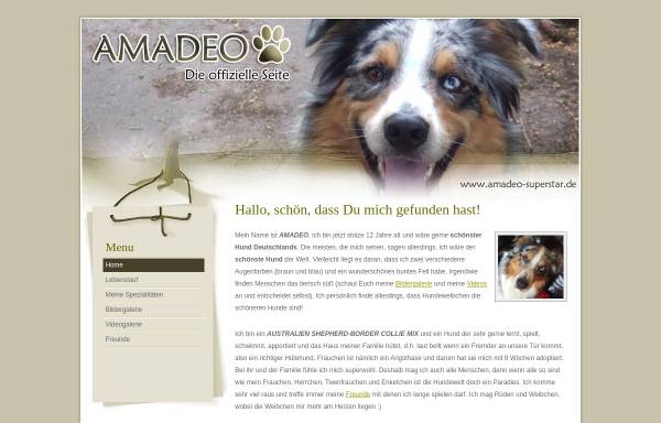 Vorschau von www.amadeo-superstar.de, Amadeo Superstar