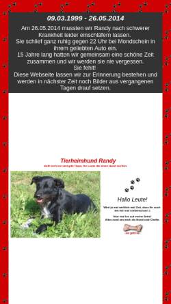 Tierheimhund