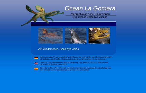 Vorschau von www.ocean-la-gomera.com, Ocean La Gomera
