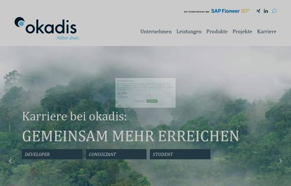 Vorschau von www.okadis.de, Okadis Consulting GmbH