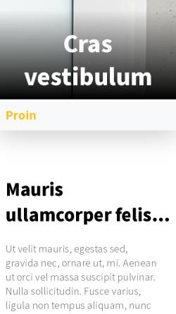 Vorschau der mobilen Webseite www.marabus-poststation.de, Forster, Irene