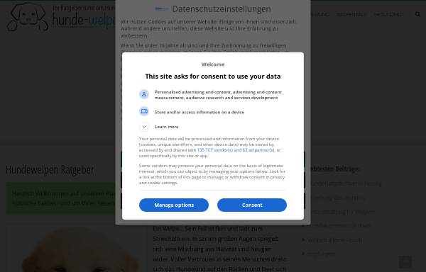 Vorschau von www.hunde-welpen.de, Hundewelpen Ratgeber