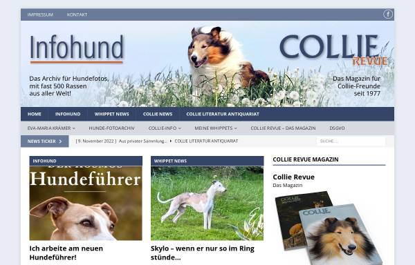 Vorschau von www.infohund.de, Infohund