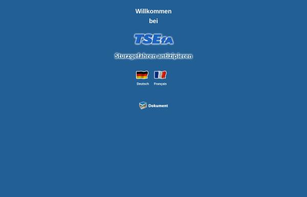 Vorschau von www.tsefa.com, TSEfA Technische Sicherheitseinrichtungen für Arbeitsschutz GmbH