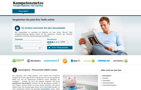 Vorschau von www.kompetenznetze.de, Kompetenznetze