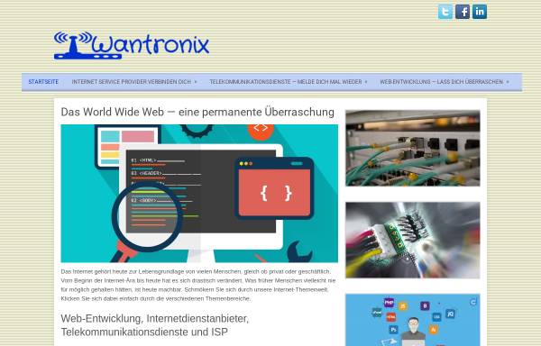 Vorschau von www.wantronix.de, Netzwerk- und Hardwarespezialist