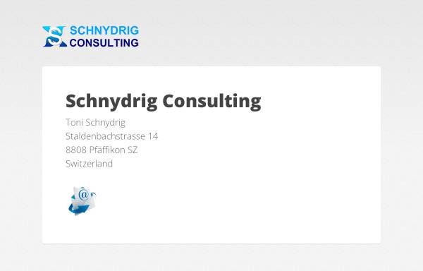 Vorschau von www.schnydrig.ch, Hilfsmittel für Informatik-Projektleiter [Schnydrig, Toni]
