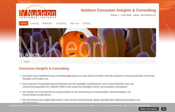 Vorschau von www.nukleon.info, Nukleon - Consumer Insights - Marktforschung