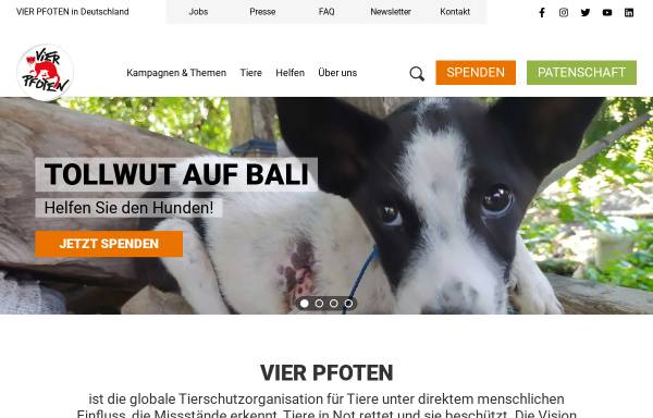 Vorschau von www.vier-pfoten.de, Vier Pfoten - Stiftung für Tierschutz