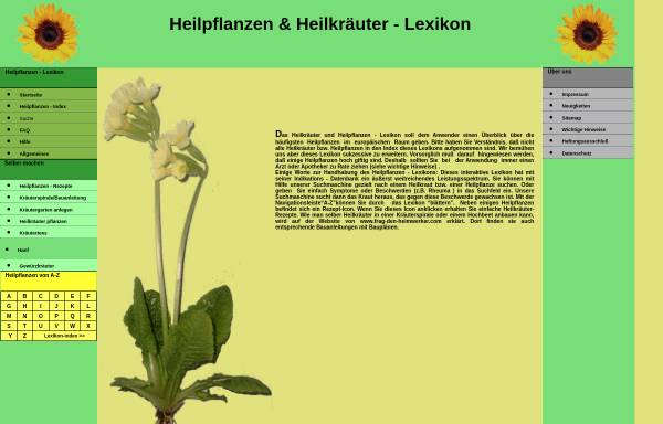 Vorschau von www.phyto-lexikon.de, Heilpflanzen- und Heilkräuterlexikon