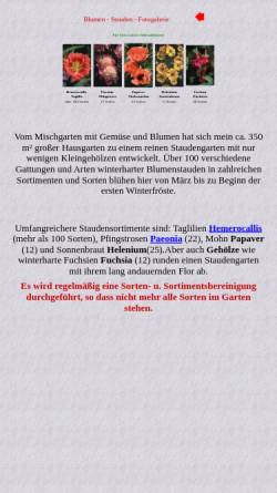 Vorschau der mobilen Webseite www.straelen-andreas.de, Andreas-Straelen.de