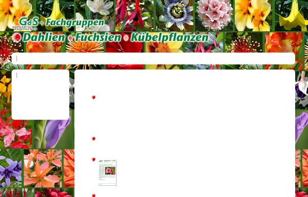 Vorschau von www.ddfgg.de, Deutsche Dahlien-, Fuchsien- und Gladiolen-Gesellschaft e.V.
