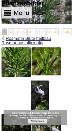 Vorschau der mobilen Webseite pflanzen-bild.de, Pflanzen-Bild.de